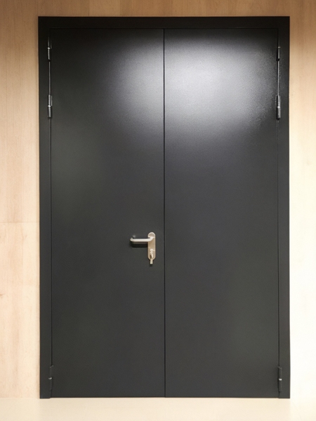 Черная двупольная дверь
