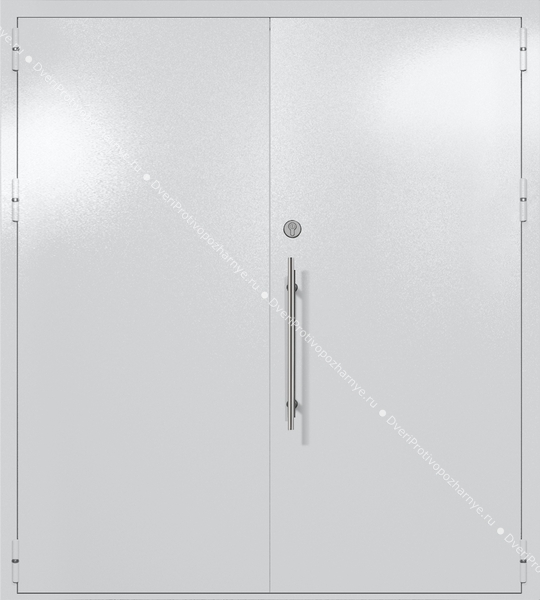 Двупольная глухая техническая дверь (цвет светло-серый RAL 7047)