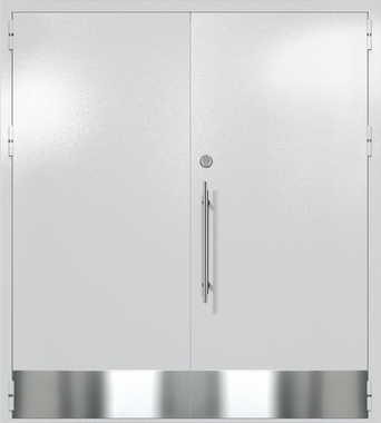 Двупольная глухая техническая дверь с отбойниками (цвет светло-серый RAL 7047)