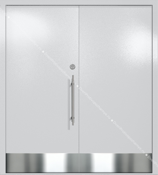 Двупольная глухая техническая дверь с отбойниками (цвет светло-серый RAL 7047)