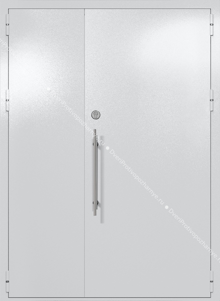 Полуторапольная глухая техническая дверь (цвет светло-серый RAL 7047) Полуторапольная глухая техническая дверь (цвет светло-серый RAL 7047)